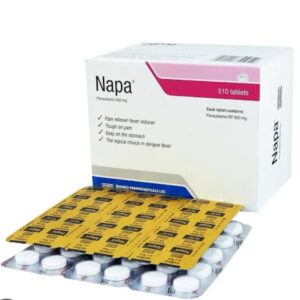 Napa 500