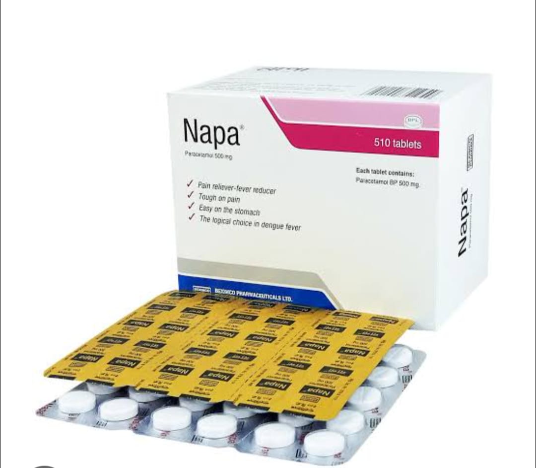 Napa 500